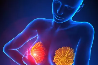 best diagnostic centre in Bhiwadi, mri breast test in Bhiwadi cost, best mri centre in Bhiwadi, where to get mri breast test in Bhiwadi, best mri machine in Bhiwadi, 3 tesla mri in Bhiwadi